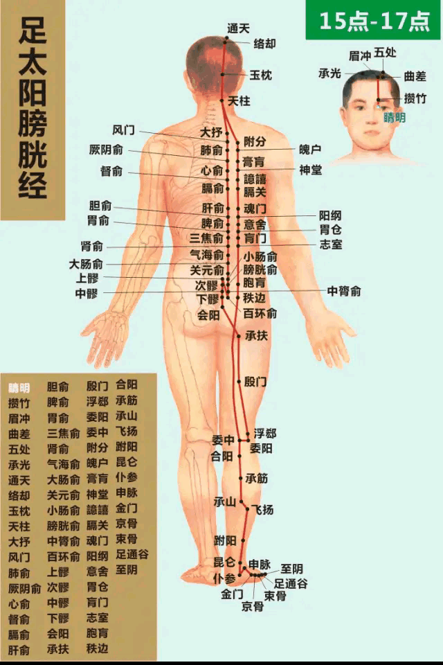 High-definition pulse diagnosis and meridian charts in Traditional Chinese Medicine