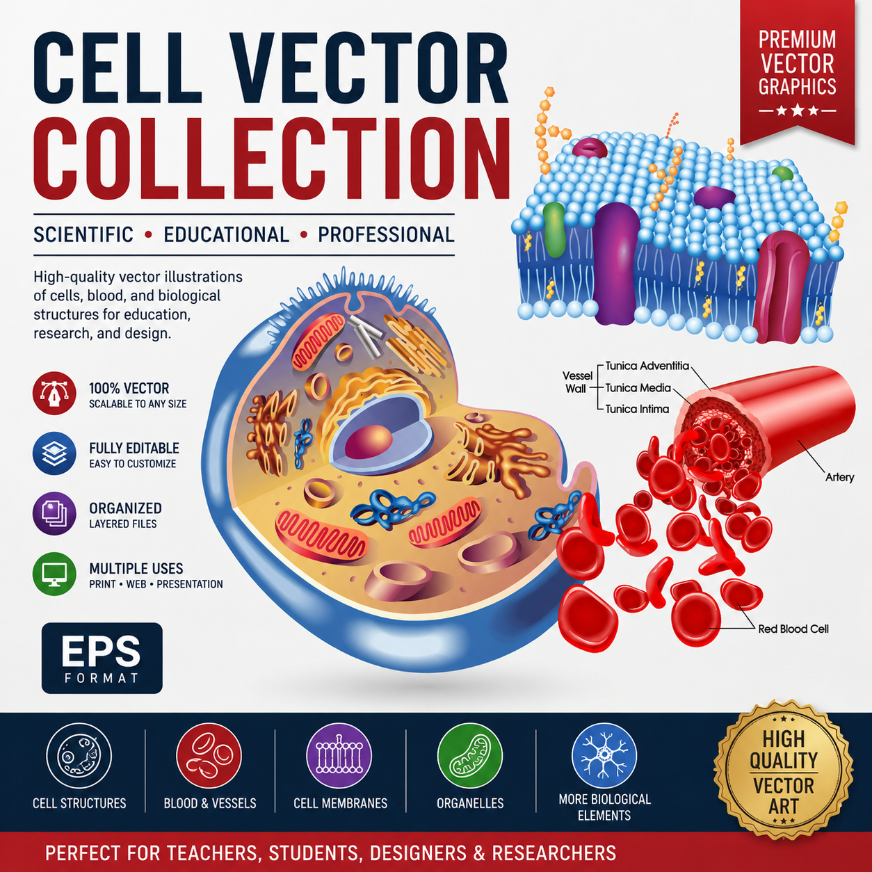 37 Vector High-Definition Cell Material Collection